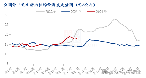 上半年行情走高！2024下半年猪价怎么走？