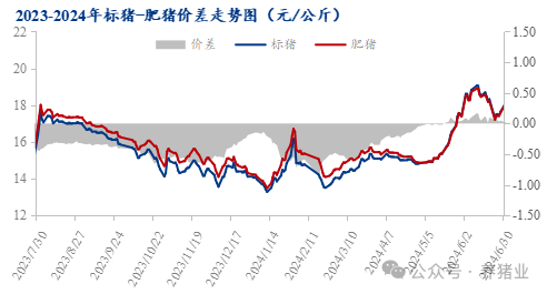 上半年行情走高！2024下半年猪价怎么走？