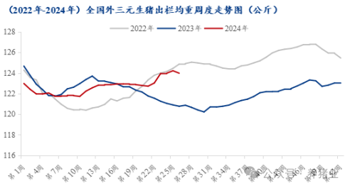 上半年行情走高！2024下半年猪价怎么走？