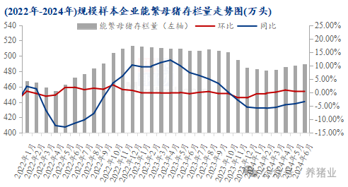 上半年行情走高！2024下半年猪价怎么走？