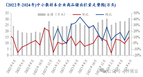 上半年行情走高！2024下半年猪价怎么走？