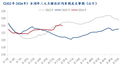 2022年-2024年全国外三元生猪出栏均重周度走势图