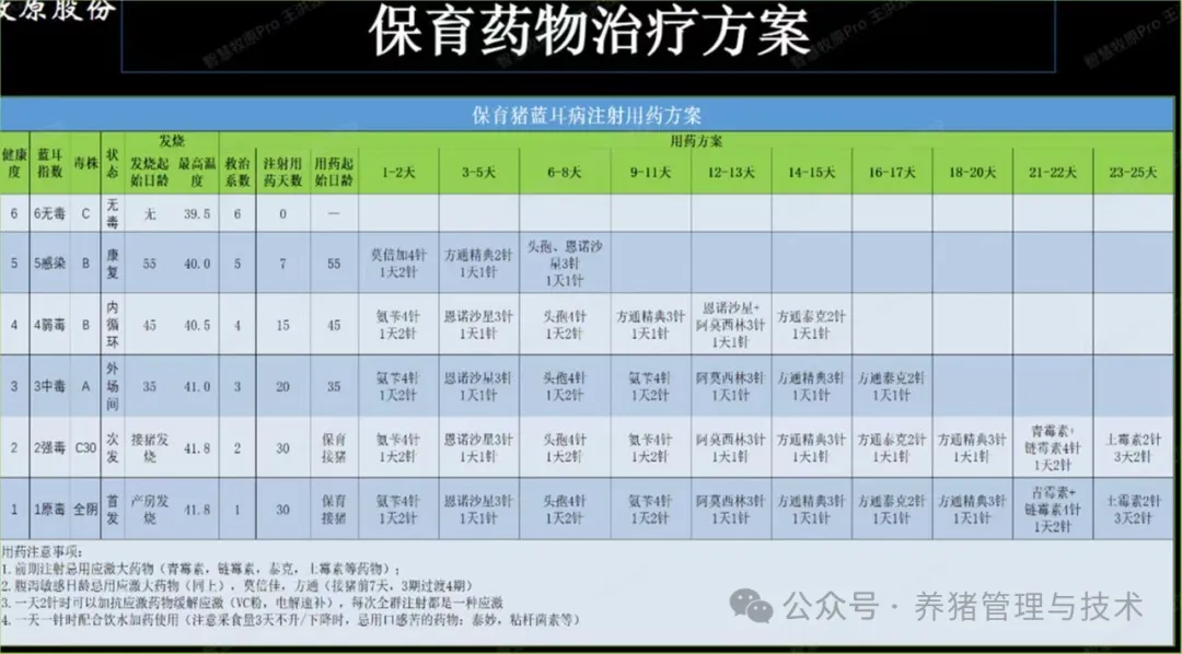 保育药物治疗方案