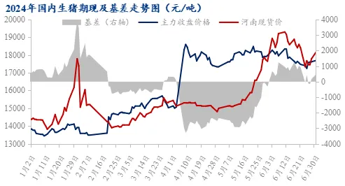 2024年国内生猪期现及基差走势图