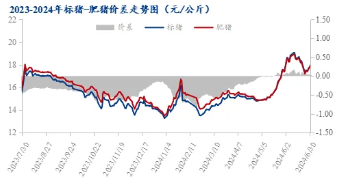 2023-2024年标猪-肥猪价差走势图