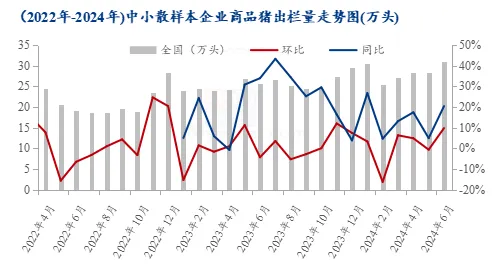 （2022年-2024年)中小散样本企业商品猪出栏量走势图