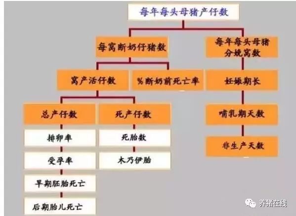 影响“断奶仔猪数/母猪/年”的因素
