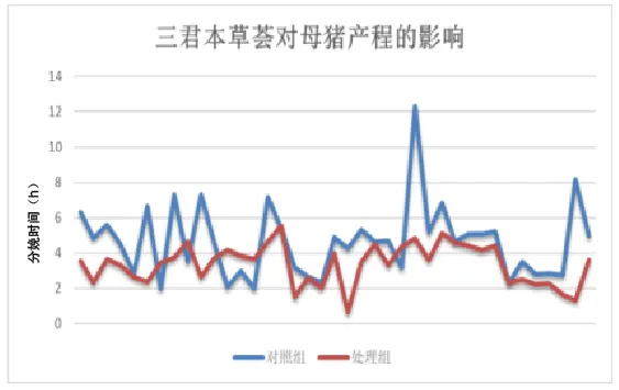 三君本草荟对母猪产程的影响