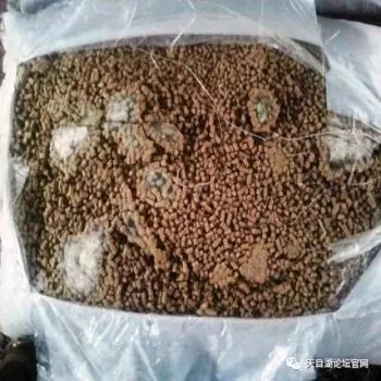 饲料霉变
