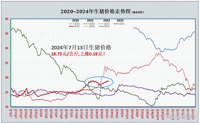 南北猪价携手“飘红”，本轮上涨逻辑是啥？