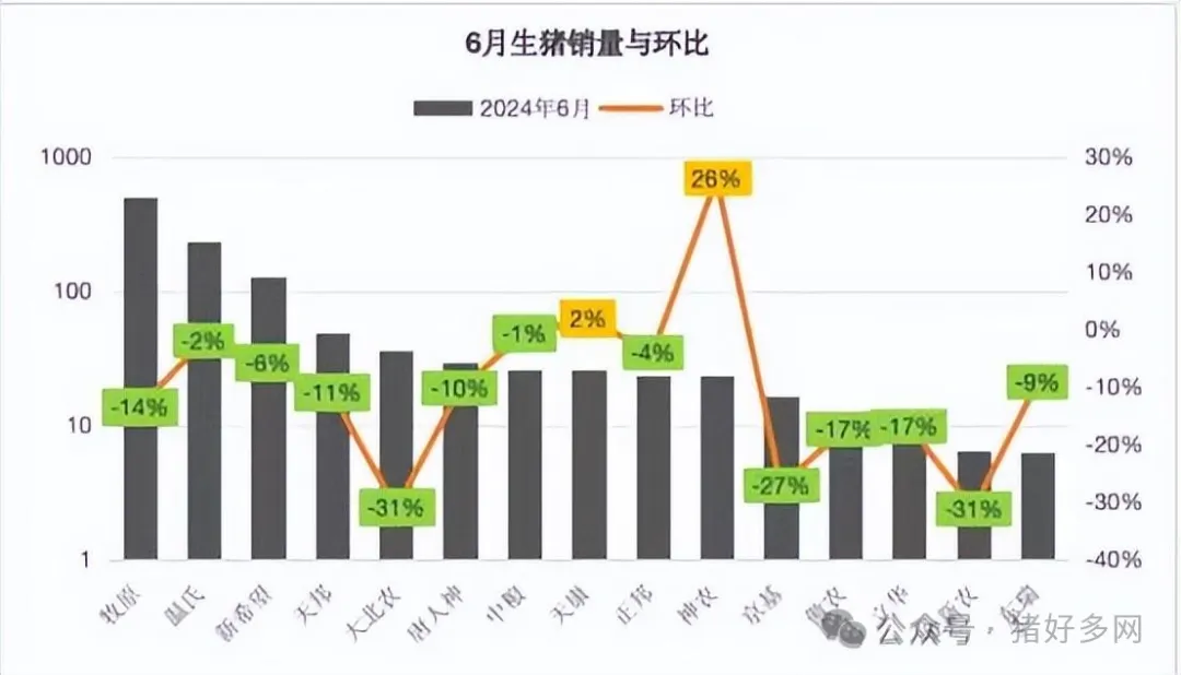 6月生猪销量