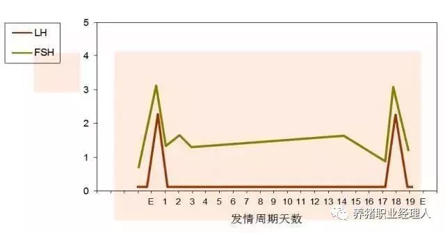 正常后备母猪发情周期激素变化图