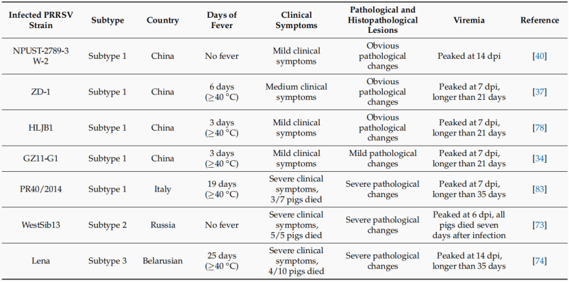 不同PRRSV-1的致病性比较