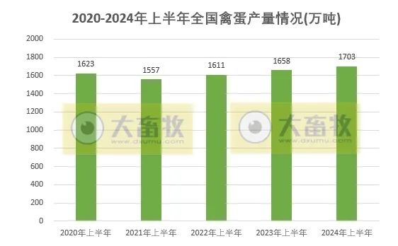 2020-2024年上半年全国畜牧业数据对比！