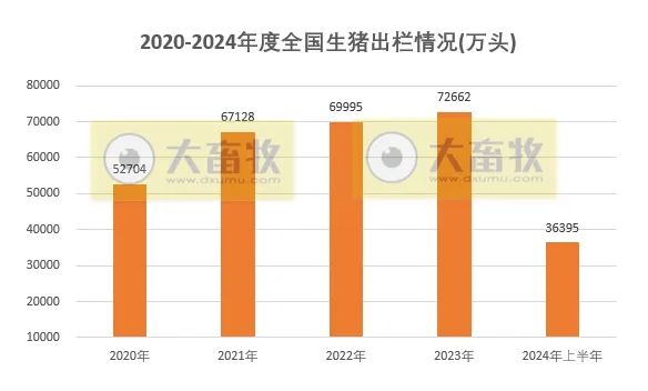 2020-2024年上半年全国畜牧业数据对比！