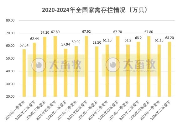 2020-2024年上半年全国畜牧业数据对比！