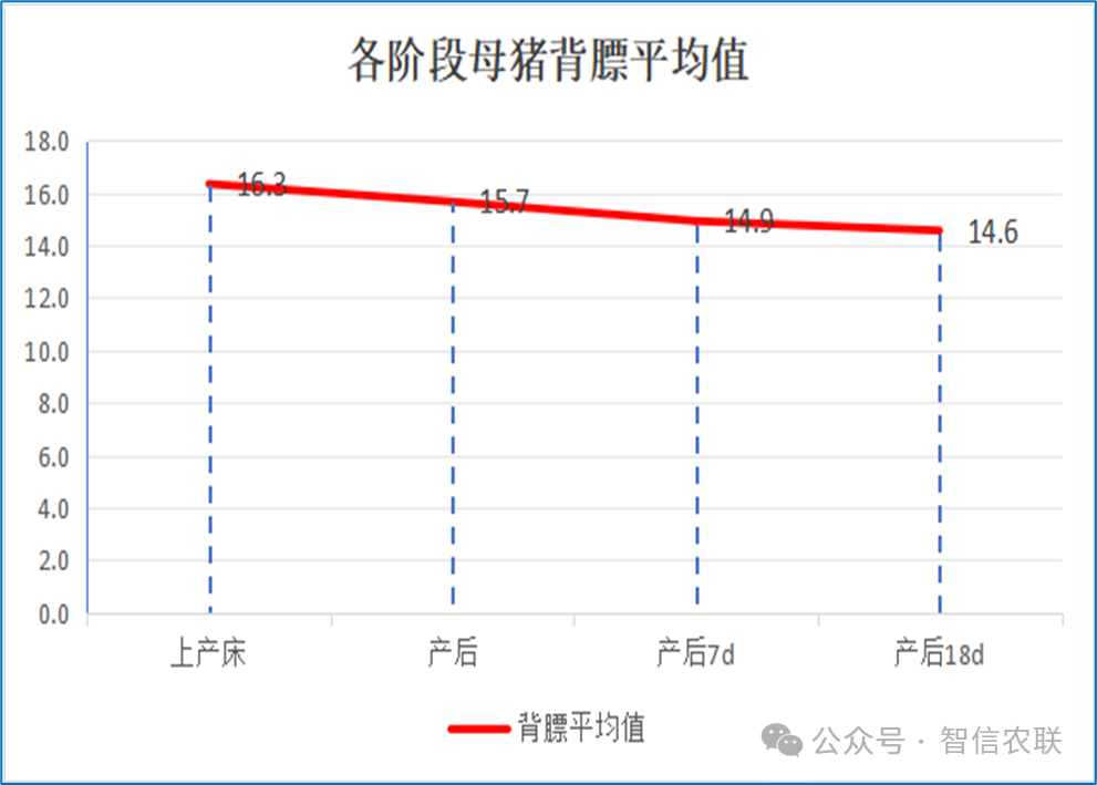 各阶段母猪背膘平均值