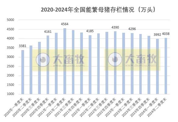 2020-2024年上半年全国畜牧业数据对比！