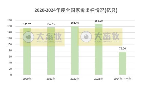 2020-2024年上半年全国畜牧业数据对比！