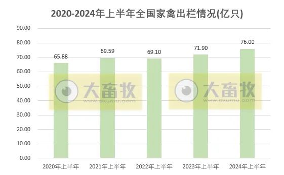 2020-2024年上半年全国畜牧业数据对比！