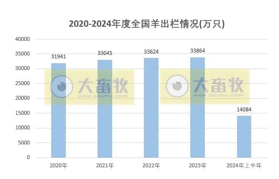 2020-2024年上半年全国畜牧业数据对比！