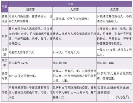 相关流感疾病对人的影响