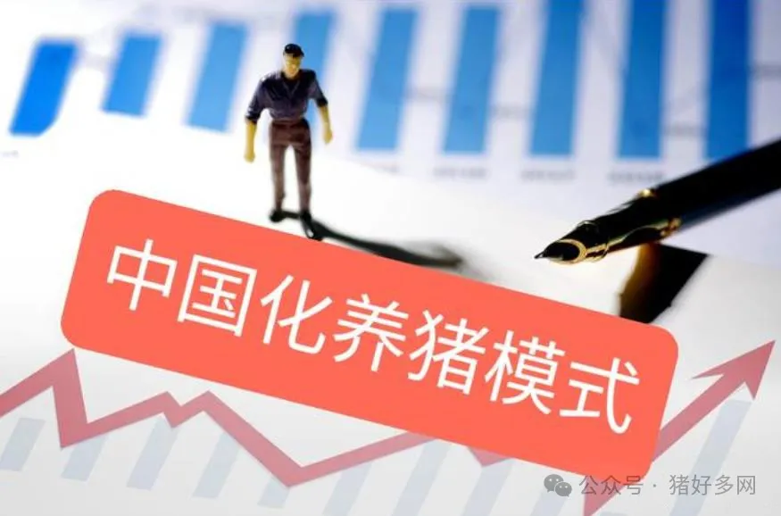 中国养猪模式