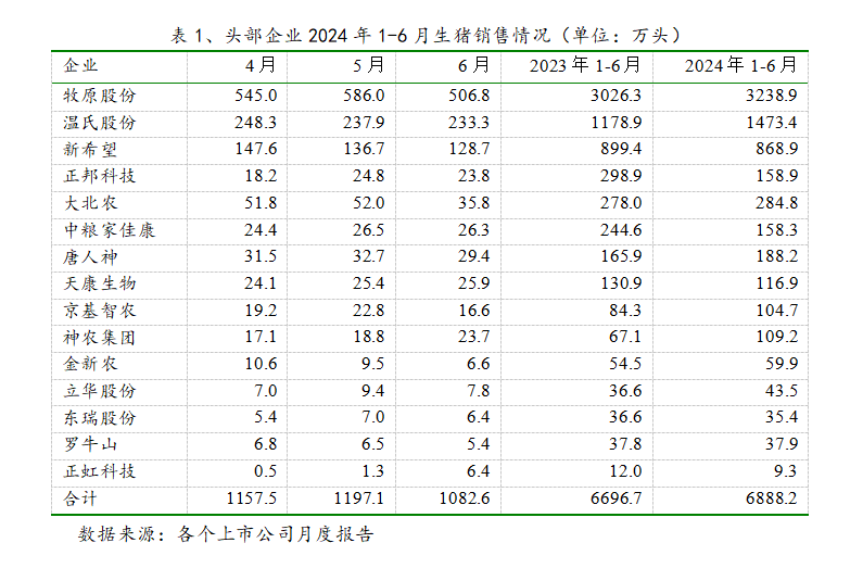 8月生猪价格将保持高位？全面分析短期猪价走势