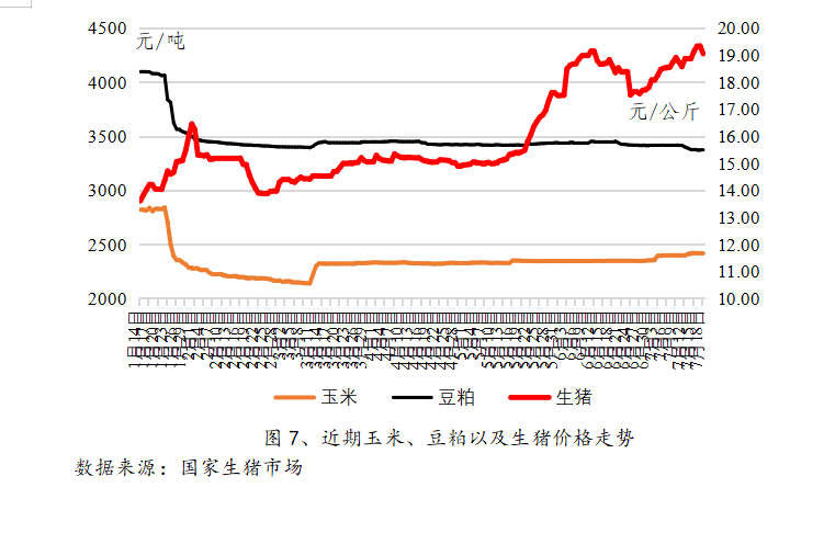 8月生猪价格将保持高位？全面分析短期猪价走势