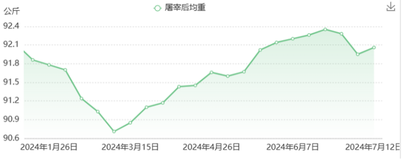 8月生猪价格将保持高位？全面分析短期猪价走势