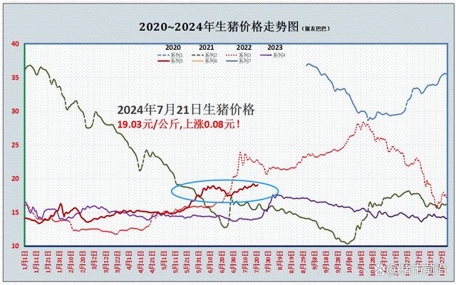 猪价再度飘红！市场利好利空交织，后市如何发展？