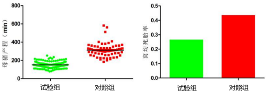  母猪产程分布、白死胎分娩比例