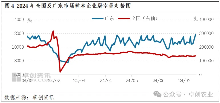 样本企业屠宰量