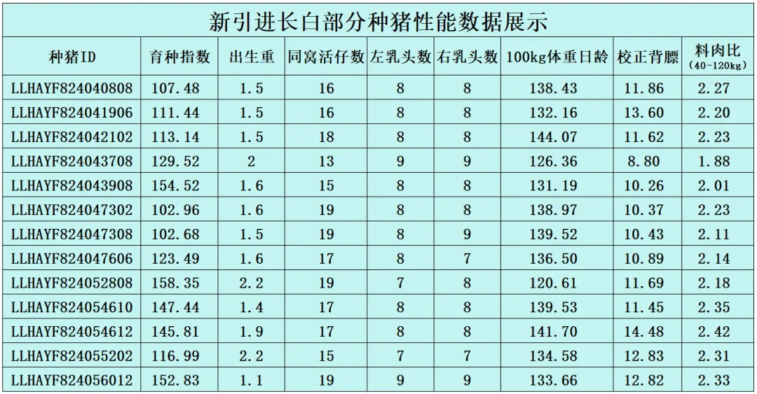 新引进长白性能展示