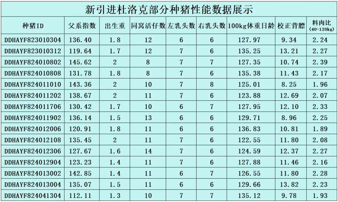 新引进杜洛克性能展示