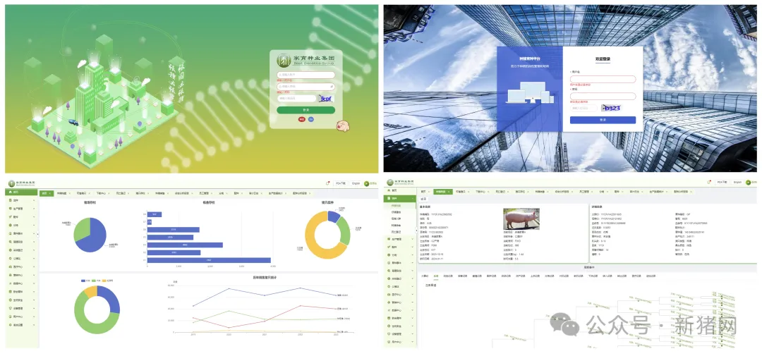 家育种猪育种平台和管理云平台照片