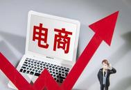 5大方面14条举措！海南推动农村电商高质量发展