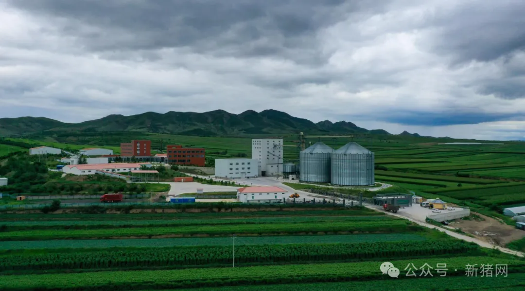 后五家养殖基地饲料厂俯瞰图