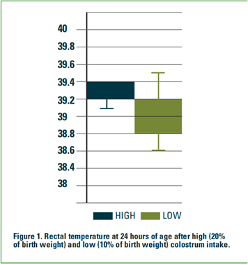 高(出生体重的20%)和低(出生体重的10%)初乳摄入后24小时的直肠温度