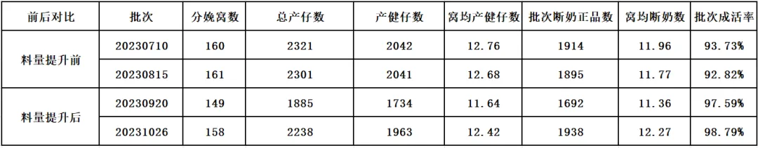 精益生产前后批次分娩及成活率统计对比