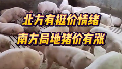 7月27日生猪价格：多地微弱调整，养殖端存在挺价情绪，猪价短时预期较好？