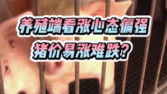 7月28日生猪价格：多地小幅上涨，养殖端看涨心态偏强，猪价短期内易涨难跌？