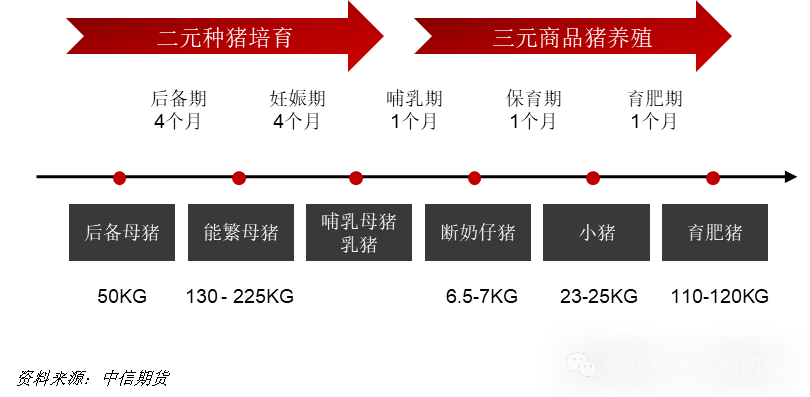 养殖模式图解