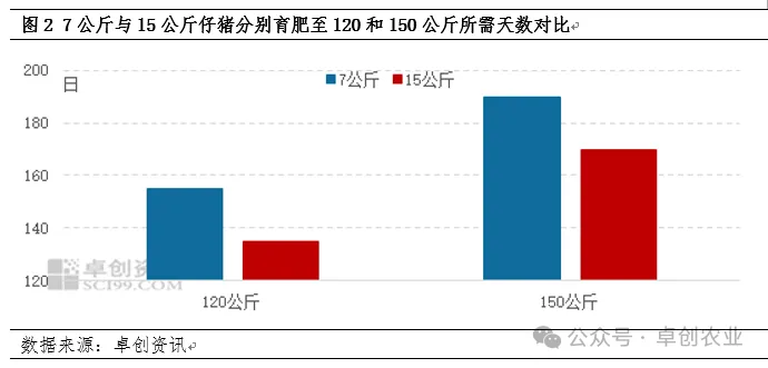 7公斤与15公斤仔猪育肥天数对比