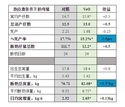 母猪在热应激条件下的产仔性能