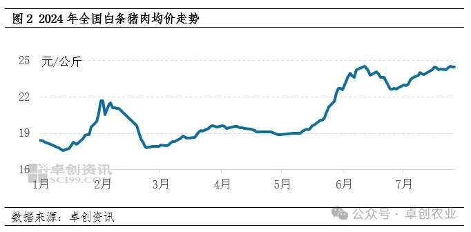 白条猪肉价格走势
