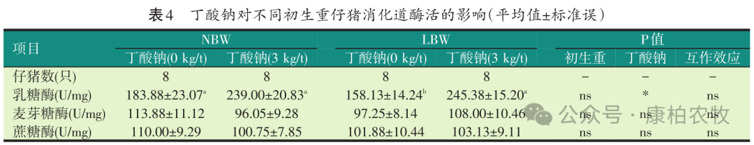 仔猪消化道酶活