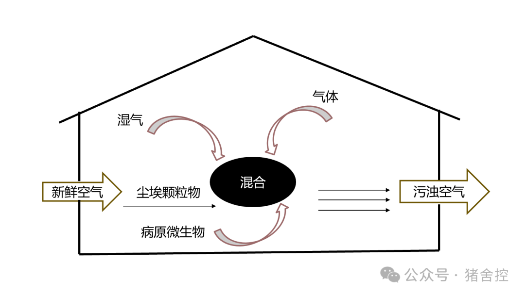 猪圈通风