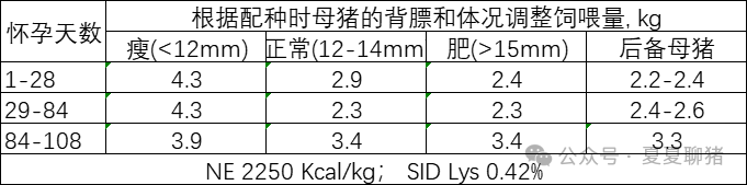 母猪怀孕期间的饲喂程序