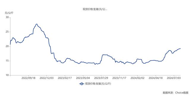 生猪现货价格走势图